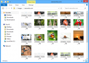 Bulk Image Downloader - ScrapeBox